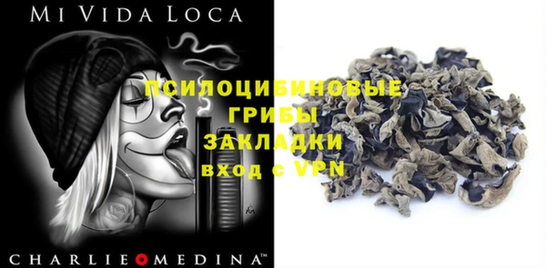 сатива Володарск