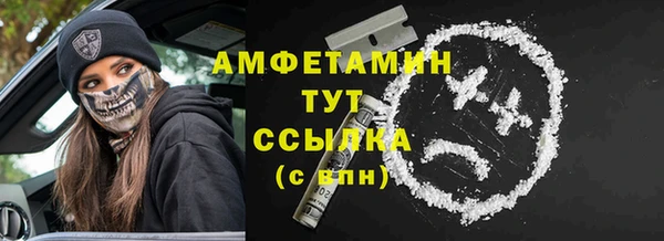 сатива Володарск