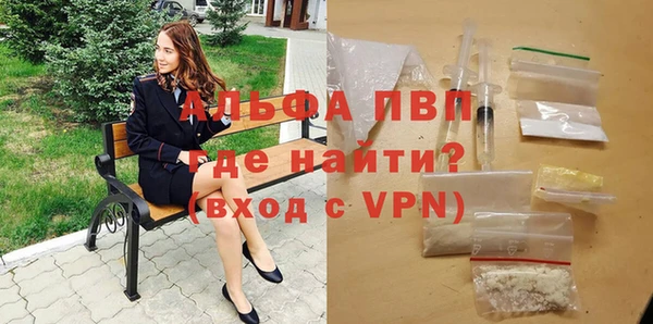 сатива Володарск