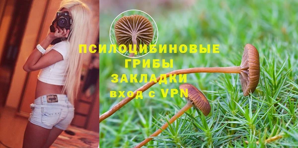 хмурый Волосово