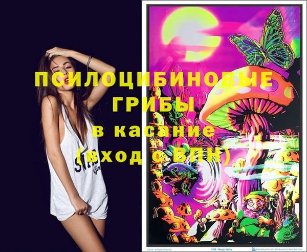 хмурый Волосово